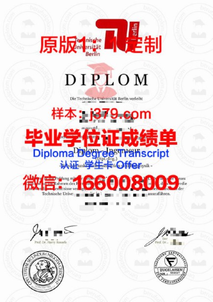 柏林工业大学毕业证图片Berlin Institute of Technology Diploma