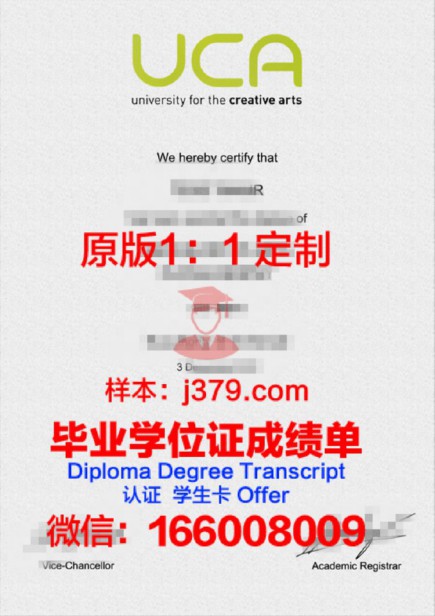 创意研究学院毕业证图片College for Creative Studies Diploma