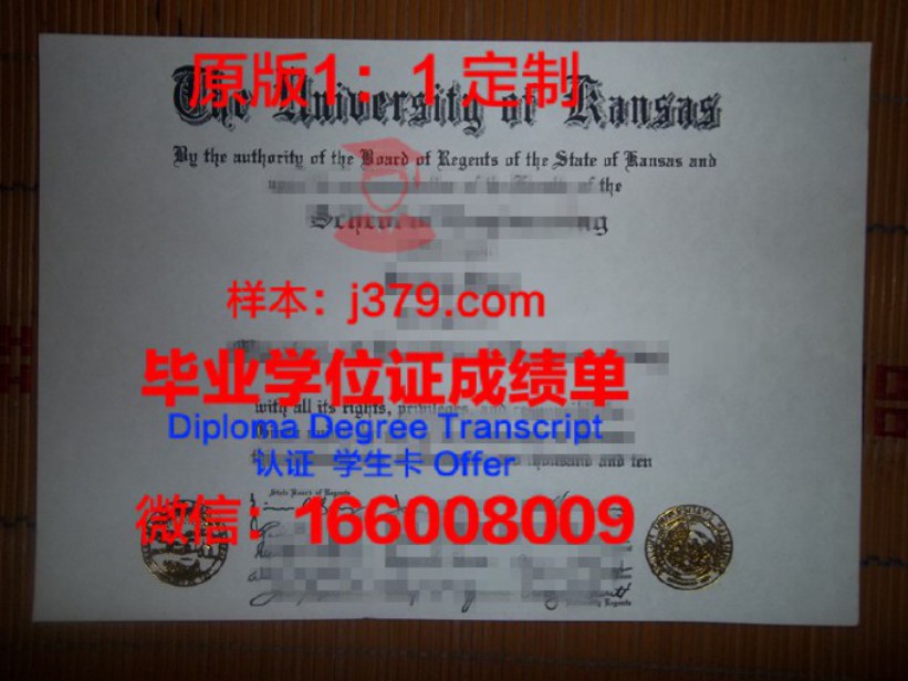 凤凰城大学达拉斯校区毕业证图片University of Phoenix-Dallas Campus Diploma