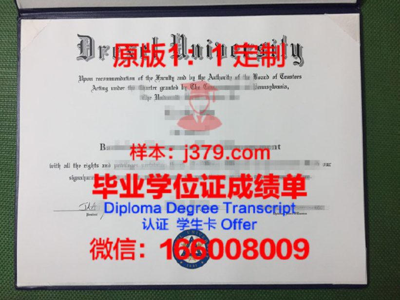 芬德雷大学毕业证图片University of Findlay Diploma