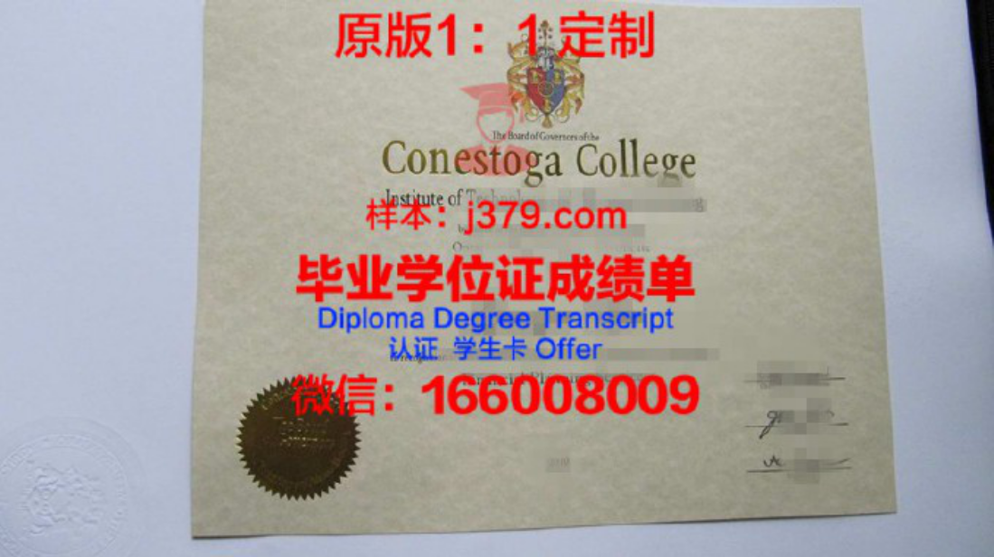 德乌斯托大学毕业证图片Universidad de Deusto Diploma