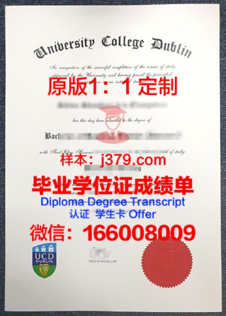 都柏林城市大学毕业证图片Dublin City University Diploma