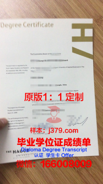 海牙大学毕业证图片Hague University Diploma