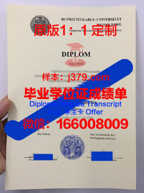 海德堡大学毕业证图片Heidelberg University Diploma_1