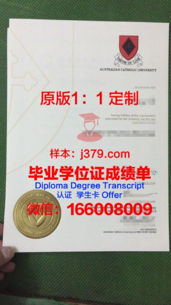 波多黎各天主教大学毕业证图片Pontifical Catholic University of Puerto Rico Diploma