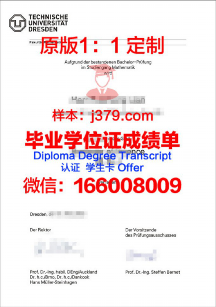 德累斯顿工业大学毕业证图片Dresden University of Technology Diploma