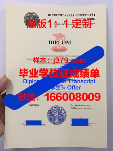 海德堡大学毕业证图片Heidelberg University Diploma