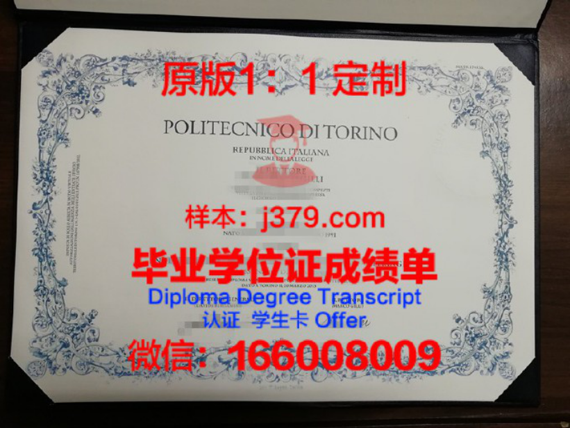 都灵理工大学毕业证图片Polytechnic University of Turin Diploma