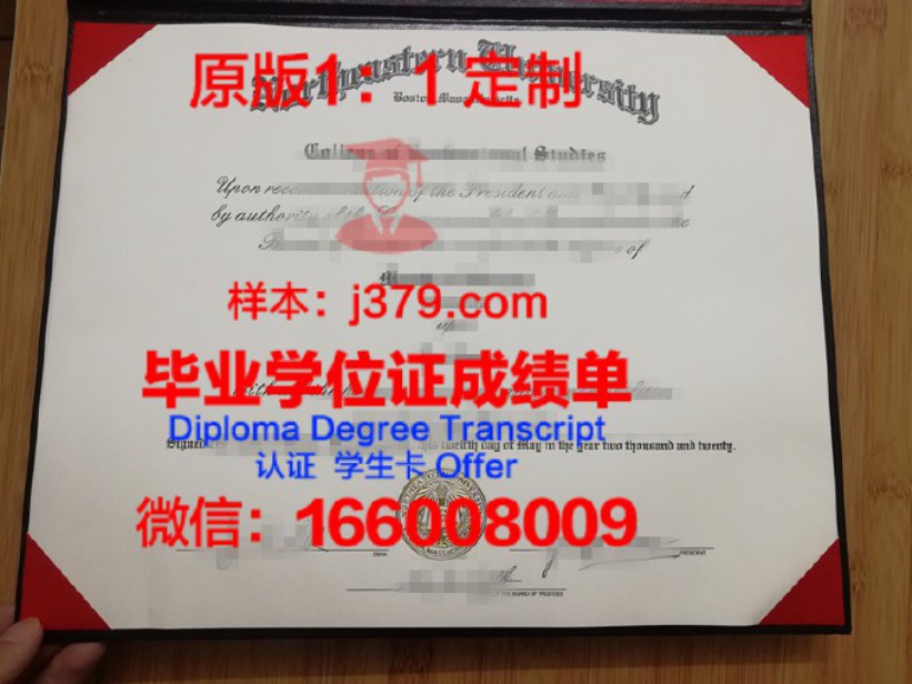 东北大学（国际学生信息）毕业证图片Northeastern University (International Student Inf Diploma