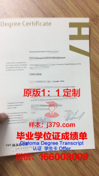 荷兰皇家艺术学院毕业证图片Royal Academy of Art, The Hague Diploma