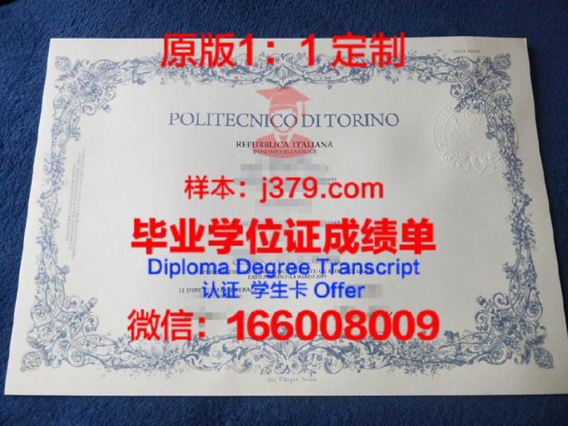 都灵理工大学毕业证图片Polytechnic University of Turin Diploma