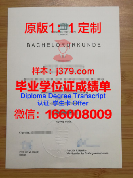 开姆尼茨工业大学毕业证图片Chemnitz University of Technology Diploma