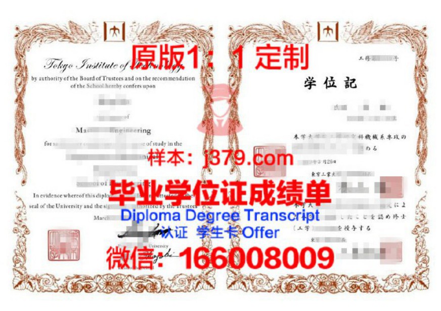 北见工业大学录取通知书 OFFER 定制：传承与创新的艺术品